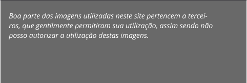 Boa parte das imagens utilizadas neste site pertencem a tercei-ros, que gentilmente permitiram sua utilização, assim sendo não posso autorizar a utilização destas imagens.